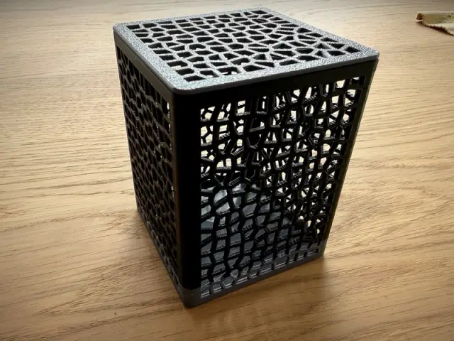 A printed black box with a voronoi lattice pattern on every side